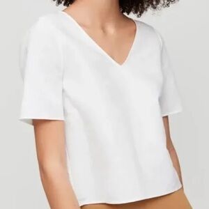 Aritzia Babaton Randy Blouse